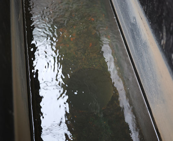 氣浮機(jī)除磷效果好嗎？